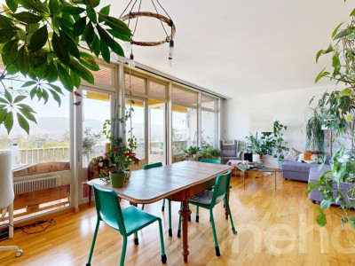 Vue sur le Mont-Blanc image 1