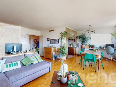 Vue sur le Mont-Blanc image 2