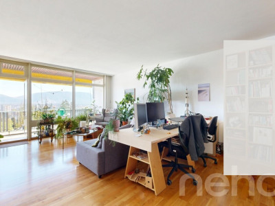 Vue sur le Mont-Blanc image 5