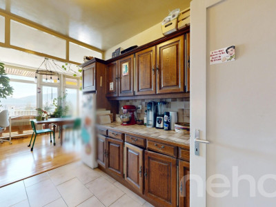 Vue sur le Mont-Blanc image 8