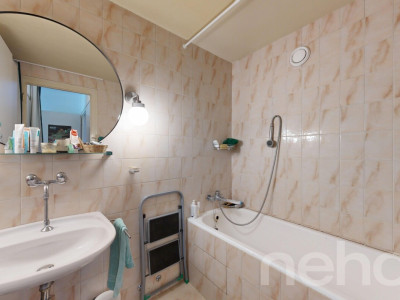 Vue sur le Mont-Blanc image 10