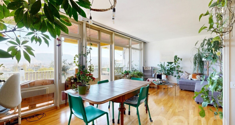 Vue sur le Mont-Blanc image 1