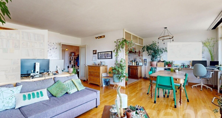 Vue sur le Mont-Blanc image 2