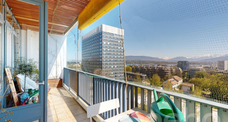 Vue sur le Mont-Blanc image 3