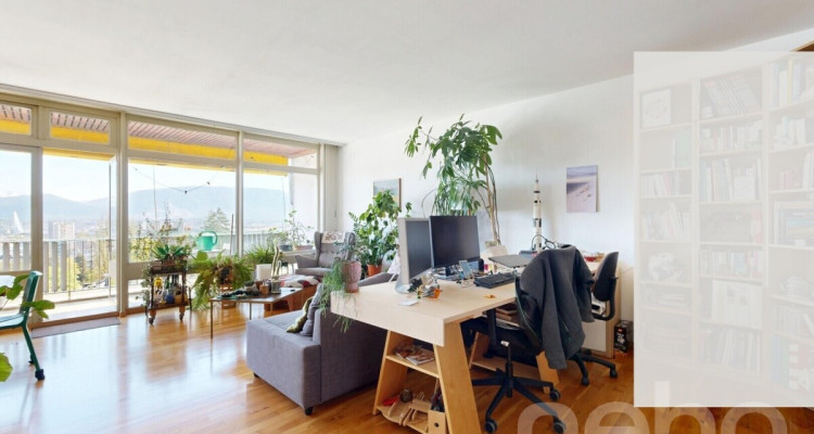 Vue sur le Mont-Blanc image 5