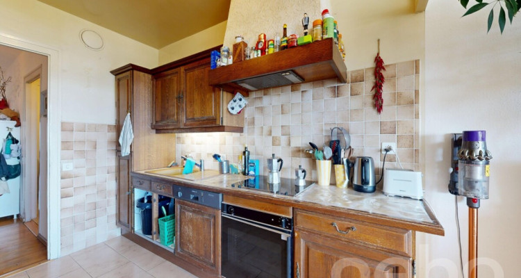 Vue sur le Mont-Blanc image 7