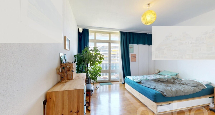 Vue sur le Mont-Blanc image 9