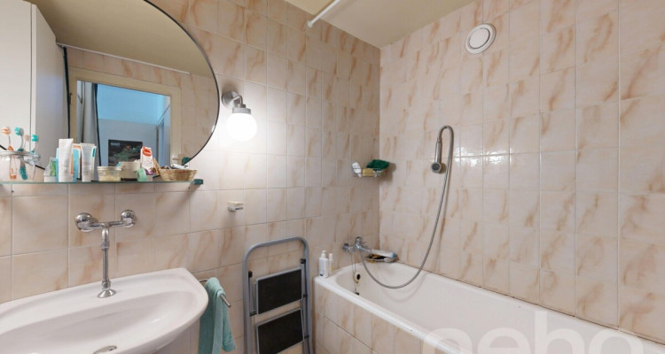 Vue sur le Mont-Blanc image 10