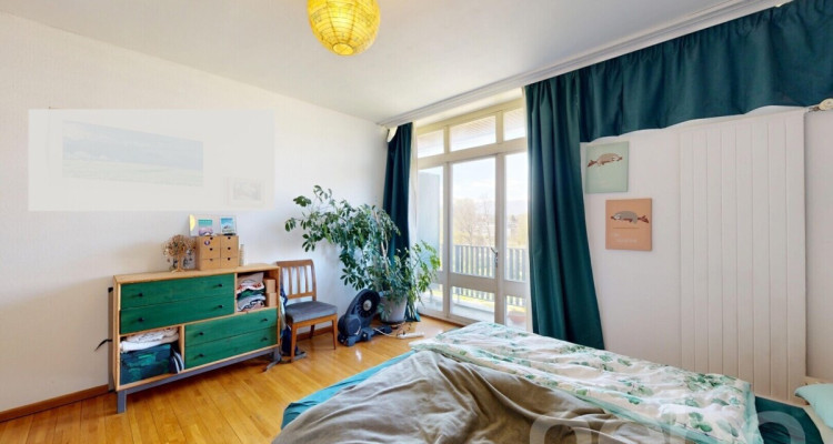 Vue sur le Mont-Blanc image 11