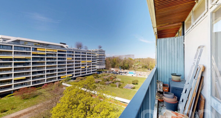 Vue sur le Mont-Blanc image 12