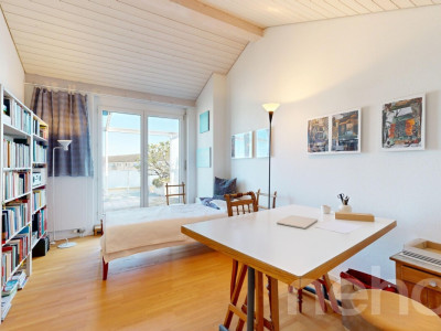 3.5 Zimmer-Duplexwohnung mit grosser Terrasse und Balkon image 8