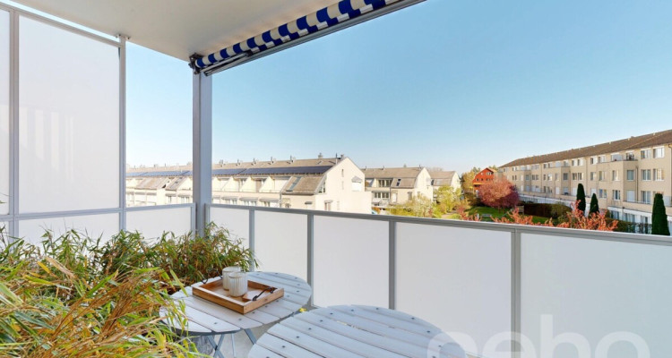 3.5 Zimmer-Duplexwohnung mit grosser Terrasse und Balkon image 10