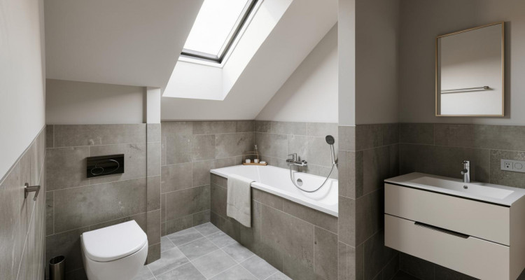 TREYTORRENS - DEUX MAGNIFIQUES VILLAS NEUVES AVEC VUE ALPES  image 8