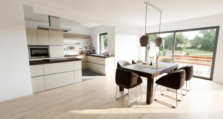 TREYTORRENS - DEUX MAGNIFIQUES VILLAS NEUVES AVEC VUE ALPES  image 4