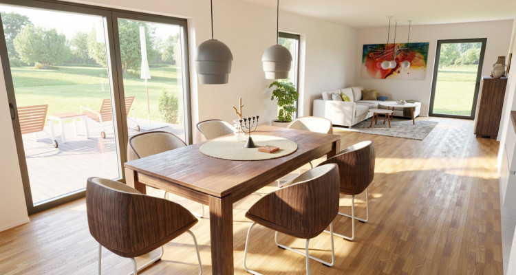 TREYTORRENS - DEUX MAGNIFIQUES VILLAS NEUVES AVEC VUE ALPES  image 3