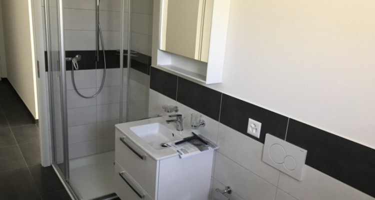 Appartement traversant 3.5 pièces avec terrasse, Granges VS image 9