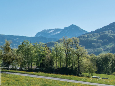 La campagne à quelques minutes de la ville... image 9