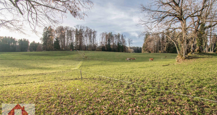 La campagne à quelques minutes de la ville... image 1
