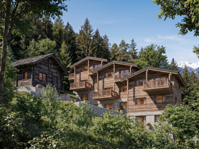 Chalet mitoyen neuf avec vue dégagée sur les montagnes – Salvan image 1