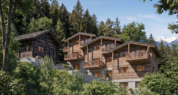 Chalet mitoyen neuf avec vue dégagée sur les montagnes – Salvan image 1
