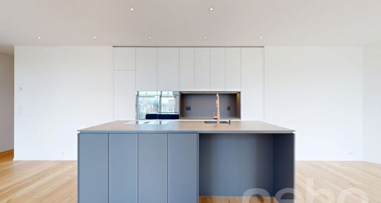 Hochwertige Neubauwohnung in Muntelier am Murtensee image 4