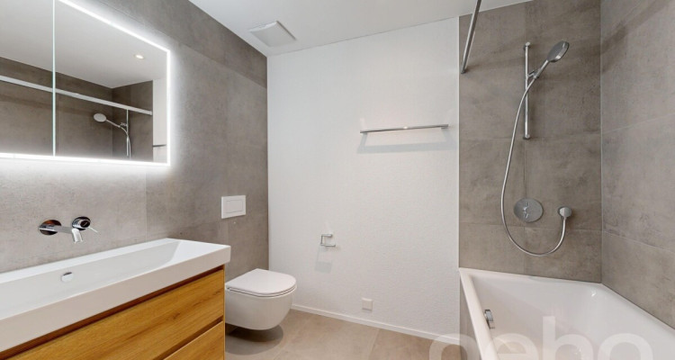 Hochwertige Neubauwohnung in Muntelier am Murtensee image 9