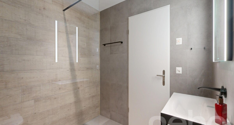 Hochwertige Neubauwohnung in Muntelier am Murtensee image 10