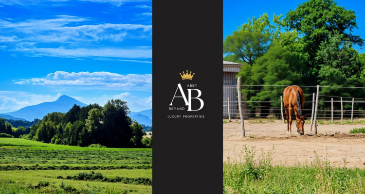 Propriété unique, demeure authentique et familiale, Présinge centre image 1