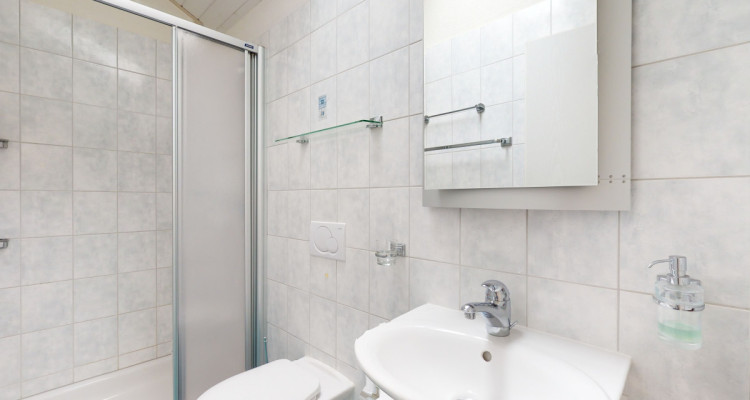 Corjolens : grande villa de 6.5 pièces avec 2.5 P indépendant image 12