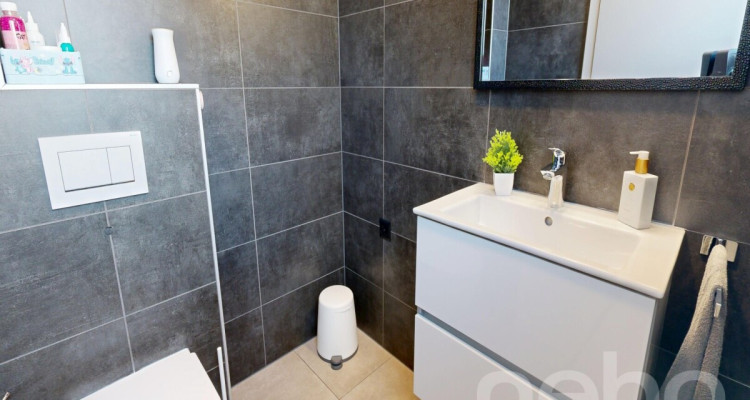 Superbe maison mitoyenne avec grande terrasse image 9