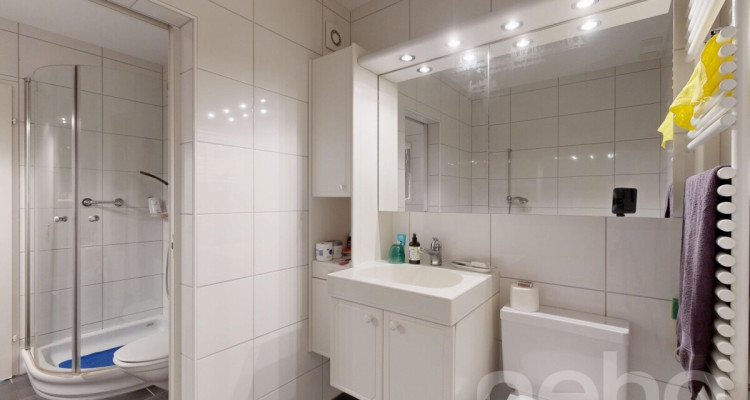 Zentrale 4.5-Zimmer-Wohnung mit Aussicht image 7