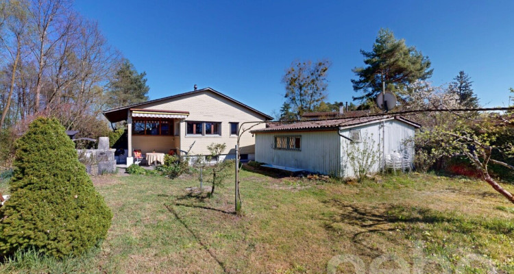 Idyllisches Haus am See - möbliert inkl. Boot und Bootsplatz image 1