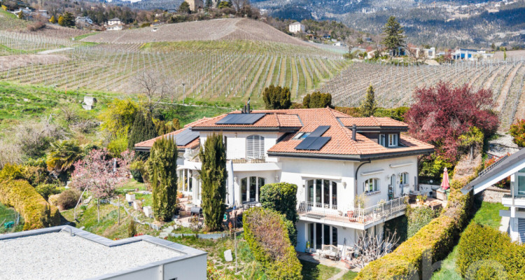 Propriété d?exception à Veyras image 4