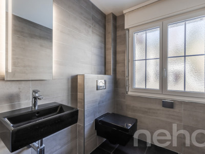 Somptueuse Maison Familiale : Volumes Généreux et Grand Terrain image 9