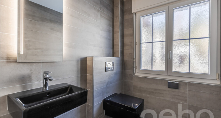 Somptueuse Maison Familiale : Volumes Généreux et Grand Terrain image 9