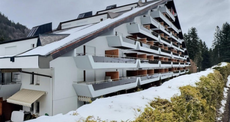 Studio en viager occupé sans rente limité à 5 ans. image 10