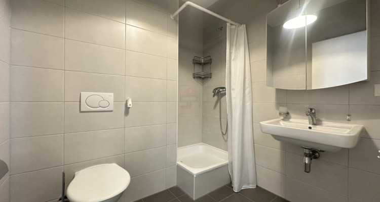 Superbe 4 pièces de 122 m², proche des commodités image 8