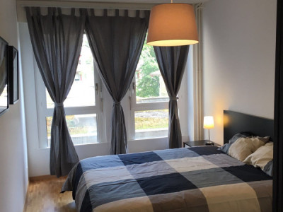 Genève, 5 mn de lONU. appartement Meublé 55 m2  image 6