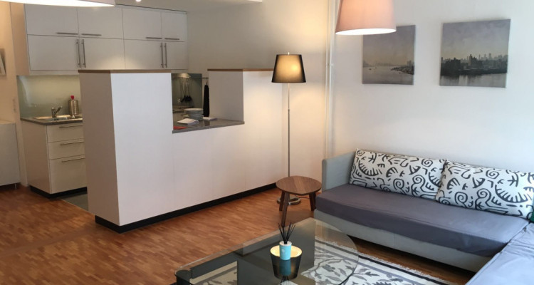 Genève, 5 mn de lONU. appartement Meublé 55 m2  image 3