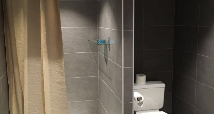 Genève, 5 mn de lONU. appartement Meublé 55 m2  image 8