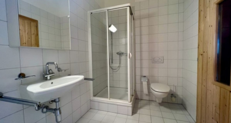  Faites une offre pour cette superbe villa dexception, avec vue sur le lac et les alpes image 7