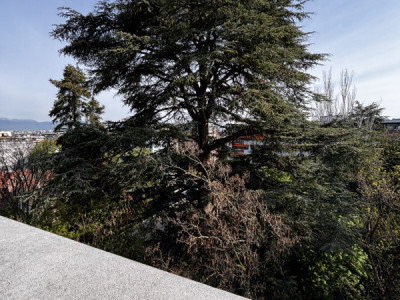 OFF-MARKET Rare attique à Champel 70m2 habitables et 70m2 de terrasse à rénover image 2