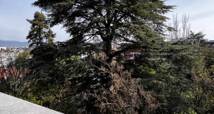 OFF-MARKET Rare attique à Champel 70m2 habitables et 70m2 de terrasse à rénover image 2