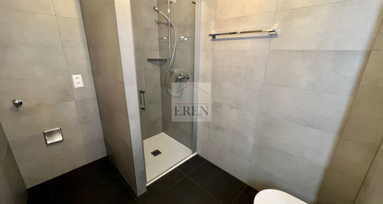 Attique 4,5 pièces avec grande terrasse et vue panoramique à Salins (Sion) image 7