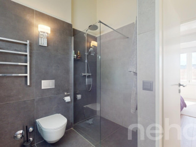 Spacieux duplex en attique ? Volume et confort contemporain image 10