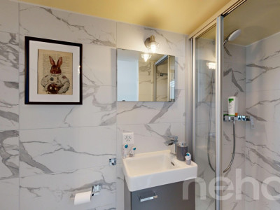 Maison mitoyenne excavée avec jardin privatif et vue sur le lac ! image 7