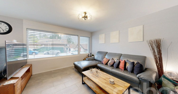 Maison mitoyenne excavée avec jardin privatif et vue sur le lac ! image 5