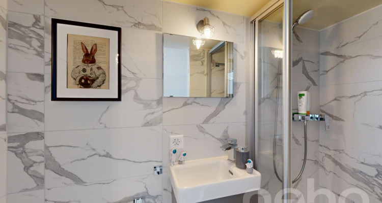 Maison mitoyenne excavée avec jardin privatif et vue sur le lac ! image 7