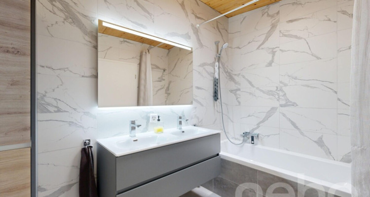 Maison mitoyenne excavée avec jardin privatif et vue sur le lac ! image 11