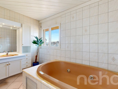 Lumineux duplex en attique avec vue dégagée, sans vis-à-vis image 12